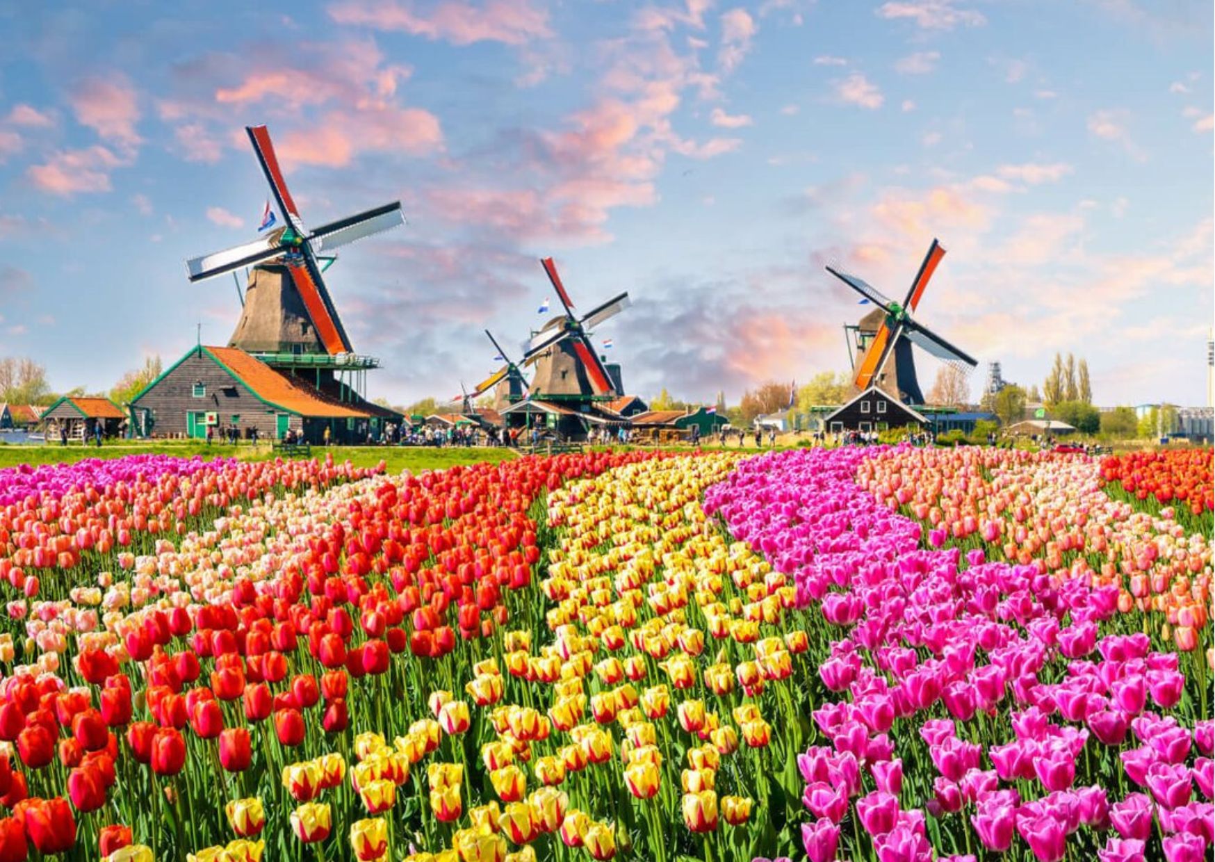 Достопримечательности Весна в Голландии и парк Кекенхоф